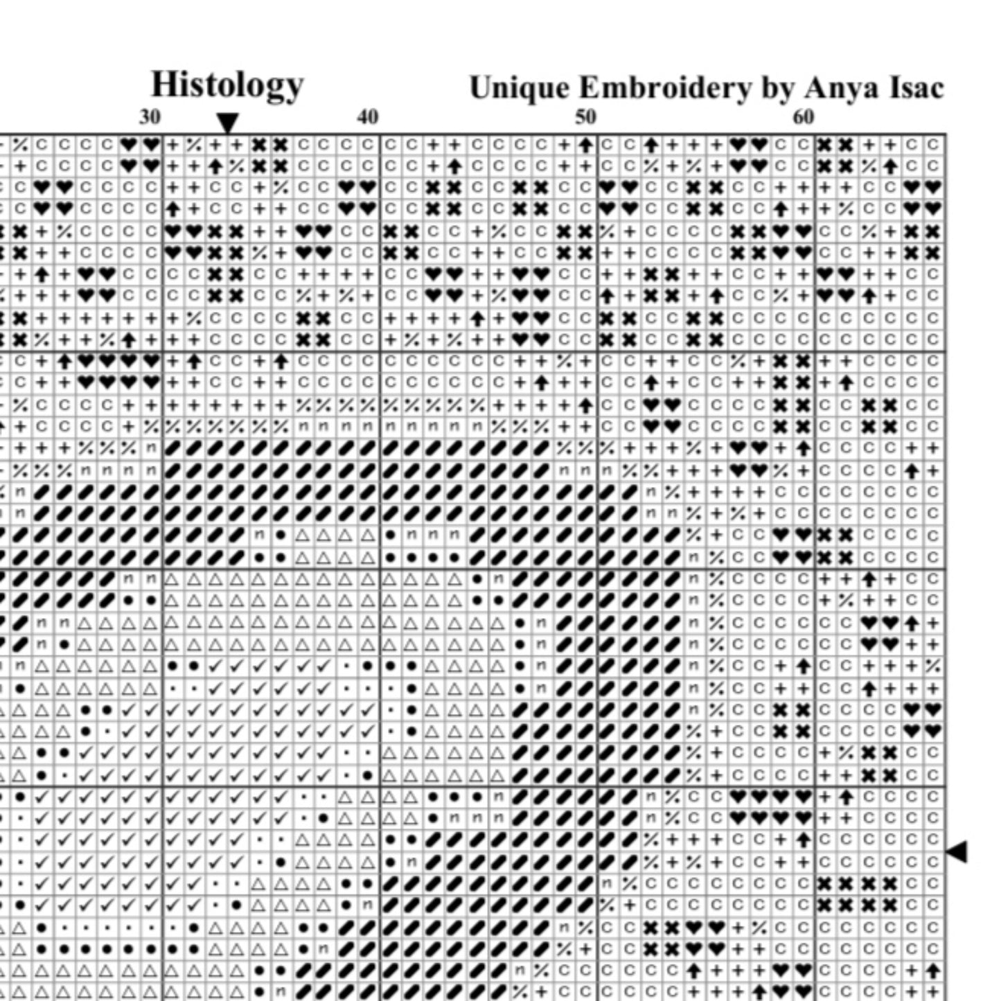 Modern Cross Stitch Pattern PDF - Histology, Science Unique Embroidery, Double Cross Stitch Sampler, Instant Download, Video Tutorial