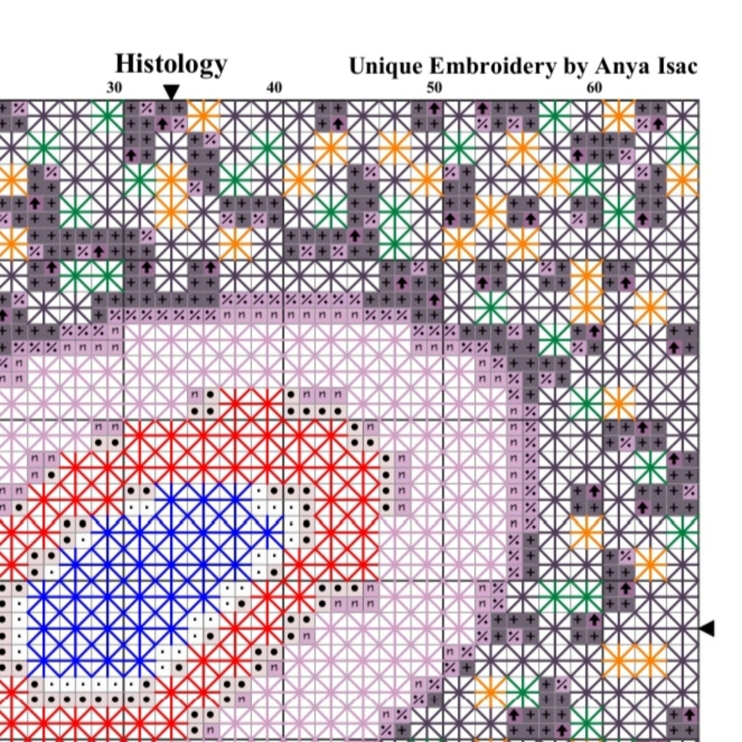 Modern Cross Stitch Pattern PDF - Histology, Science Unique Embroidery, Double Cross Stitch Sampler, Instant Download, Video Tutorial