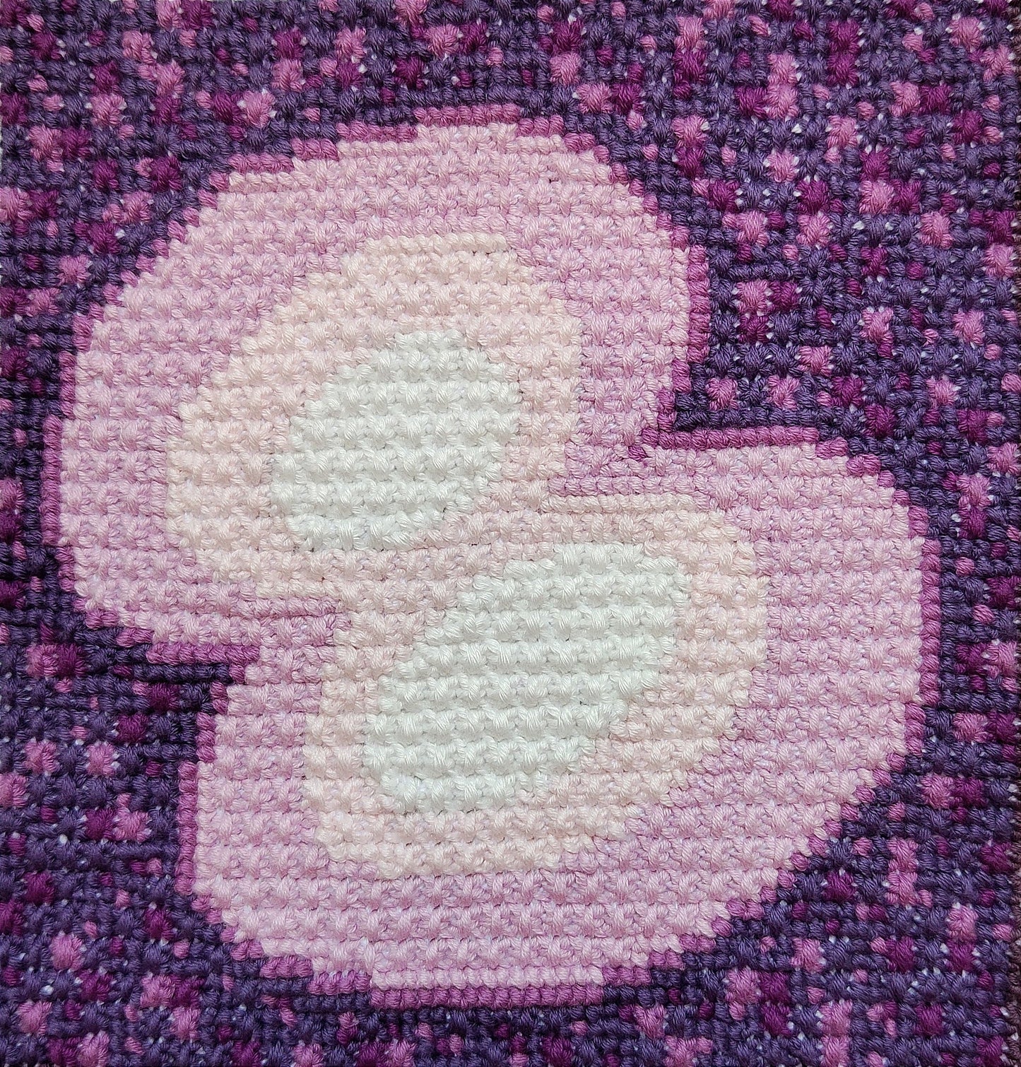Biology Cross Stitch Pattern PDF - Cell Division, Video Guide, Science Embroidery, Double Cross Stitch Sampler, Instant Download