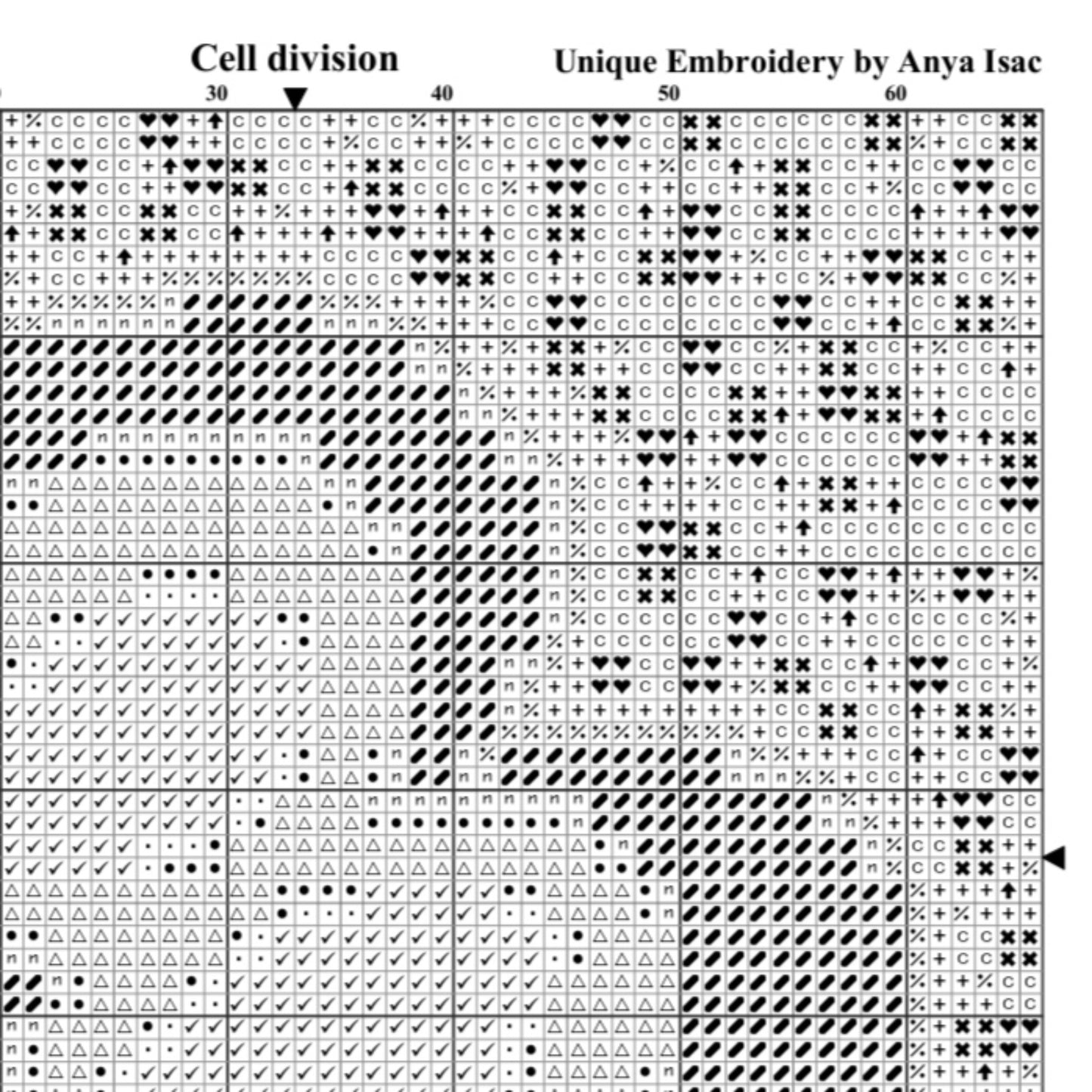 Biology Cross Stitch Pattern PDF - Cell Division, Video Guide, Science Embroidery, Double Cross Stitch Sampler, Instant Download