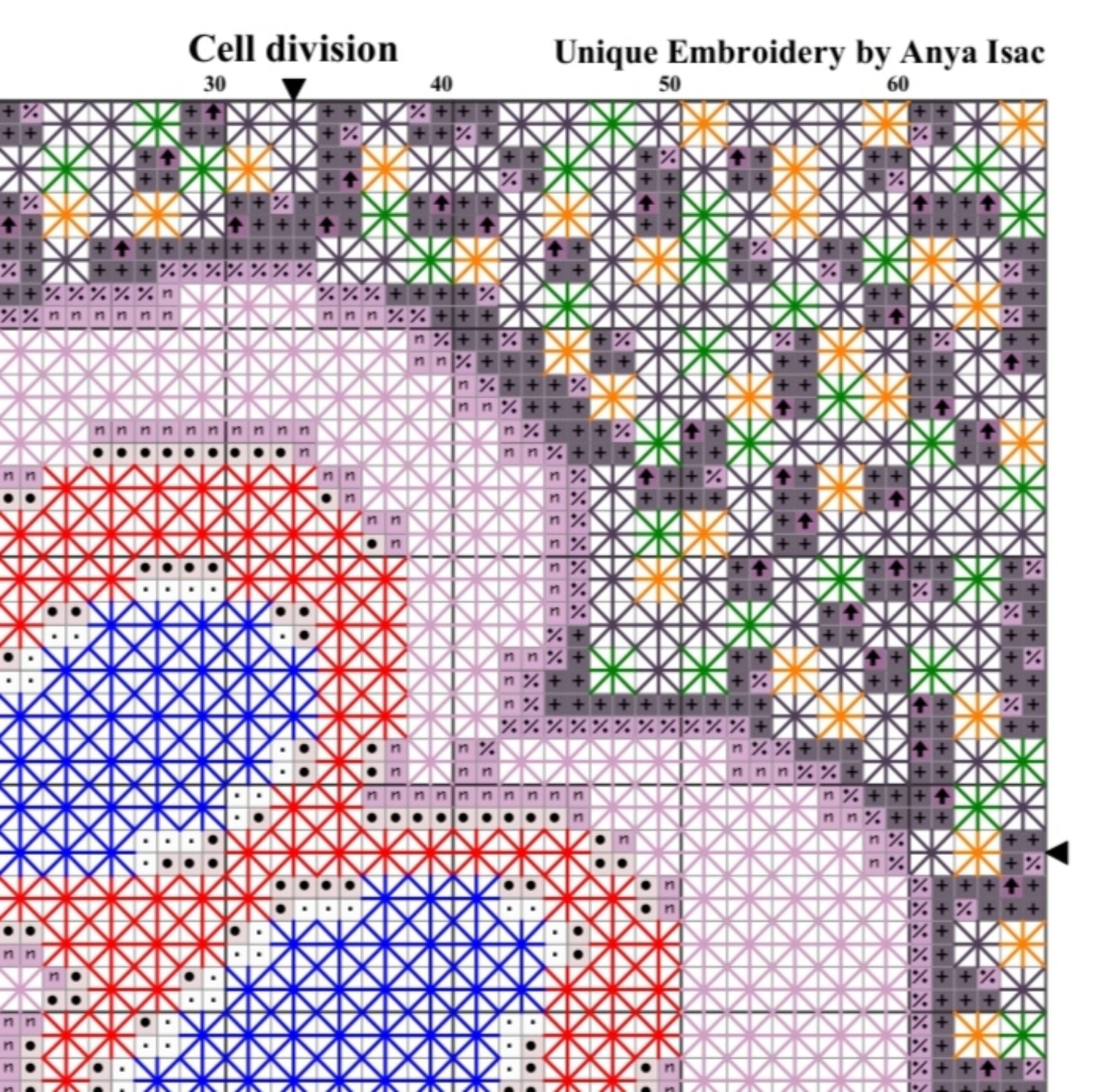 Biology Cross Stitch Pattern PDF - Cell Division, Video Guide, Science Embroidery, Double Cross Stitch Sampler, Instant Download