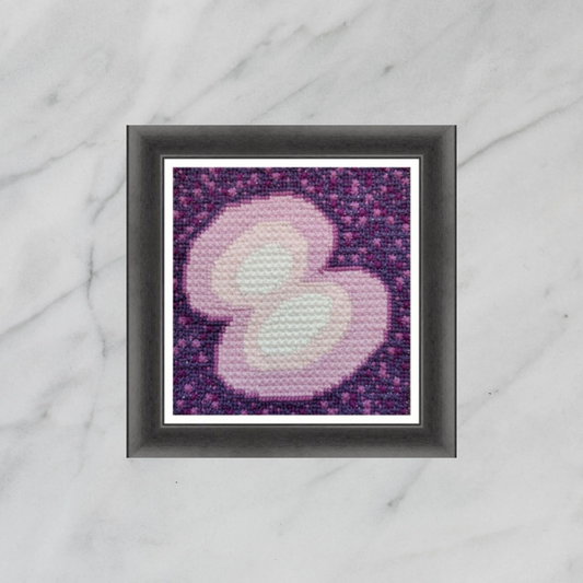 Biology Cross Stitch Pattern PDF - Cell Division, Video Guide, Science Embroidery, Double Cross Stitch Sampler, Instant Download