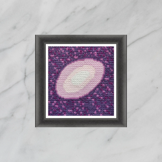 Modern Cross Stitch Pattern PDF - Histology, Science Unique Embroidery, Double Cross Stitch Sampler, Instant Download, Video Tutorial